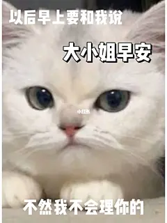 「早安」可爱小猫早安表情包合集 get✓