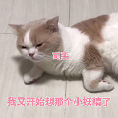 J_ShaMe采集到GIF