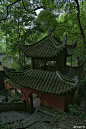 微博 – 随时随地发现新鲜事