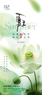 夏至节气海报