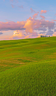 喵与花采集到风景