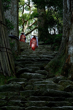 lin有鹿采集到恐怖海报