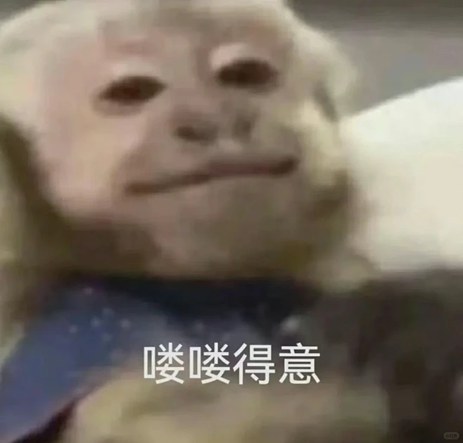 吗喽之䘮-花瓣网