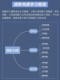 柴门遇柴犬采集到摄影