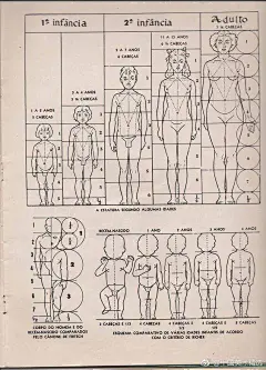 人体比例-花瓣网