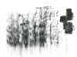 Damaged Walls (16)