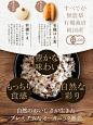 日式食物海报简约  食物与字体之间搭配很舒服