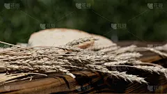 自然背景下的小麦和面包的小穗