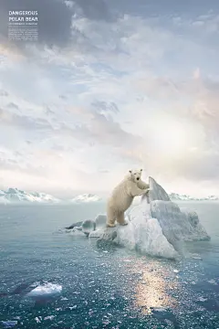 唯美梦幻保护动物海报背景