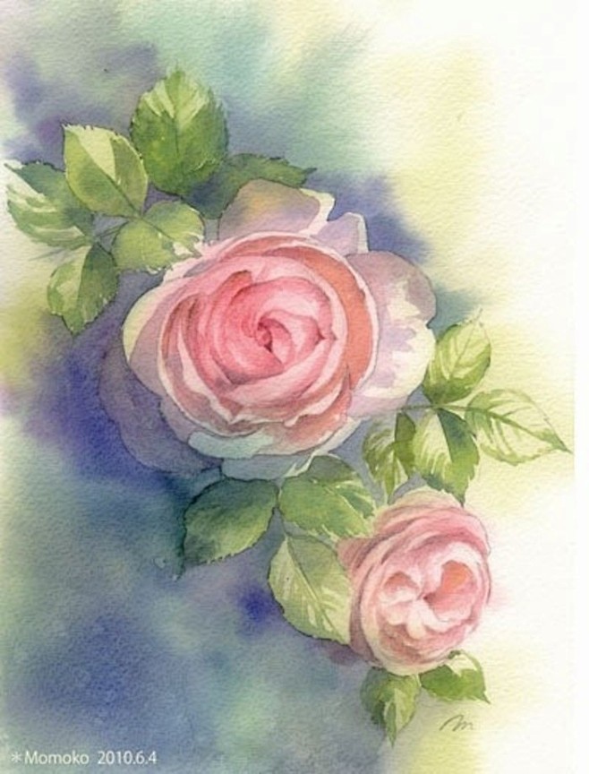 植物水彩手绘玫瑰花，晕染的效果很美