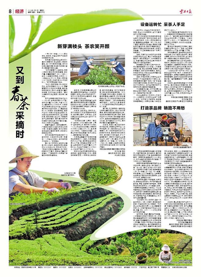 云南日报报业集团数字报-经 济
