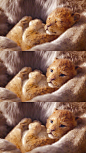 p2540670687.jpg (690×1226)