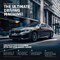 car Social media post Socialmedia Advertising  adobe illustrator Adobe Portfolio brand identity branding  Brand Design poster
