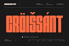 现代简约杂志海报包装网页设计无衬线英文字体安装包 Seriusans – Condensed Sans Display Font插图7