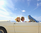 Photograph Caucasian couple driving convertible under blue sky by Gable Denims on 500px