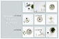小清新欧美英文植物绿色社交网页微博客广告banner设计素材JPG64-淘宝网
