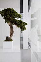 Vicky Yao Faux Floral - New Chinese Style Artificial Bonsai Arrangement | Vicky Yao Home Decor