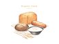 美食 面包 麦子 淡彩手绘 水彩插画PSD_平面设计_绘画插图 @飞天胖虎