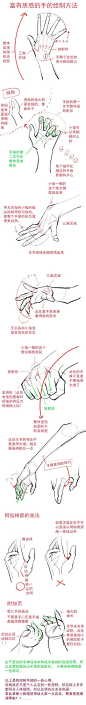 动漫绘画学习：手怎么画？（附素材压缩包下载）