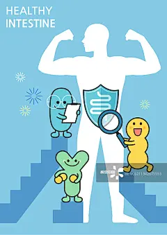 消化系统，乳酸菌，性格，健康生活，营养图片素材