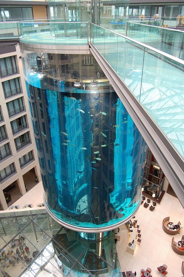 该巨型鱼缸在德国柏林，是一个内置的透明电...
