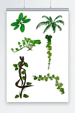 绿色藤条青藤植物树叶春季插画元素