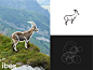 This may contain: a mountain goat standing on top of a grass covered hill next to a black and white logo