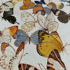 朔八采集到插画