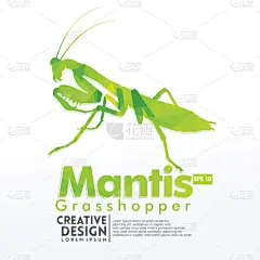 几何形状,螳螂,纸,手艺,高雅,可爱的,华丽的,折纸工艺,玩具,翅膀