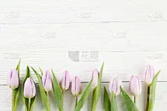 郁金香,母亲节,生日卡,柔和色,复活节,生日,木制,花卉花环,贺卡,留白