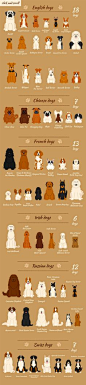Great collection of dog clip art with breeds from shepherds to terriers to spaniels. Perfect for rescue websites, pet stores, and other animal organizations.
