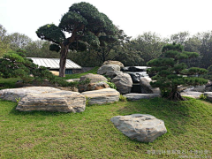 泽野之夕采集到日式庭院风