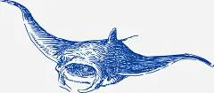 手绘鲸鱼矢量图高清素材 帆船 手绘 木船 海洋 海洋生物 舵 轮船 锚 鲸鱼 矢量图 免抠png 设计图片 免费下载