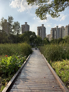 啊啊阿袁啊采集到滨水场地