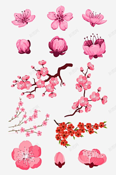 清风两叹采集到粉色花朵素材