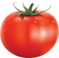 西红柿番茄免扣PNG