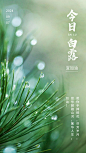 9.7白清新文艺节气祝福
