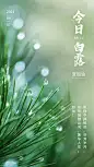 9.7白清新文艺节气祝福