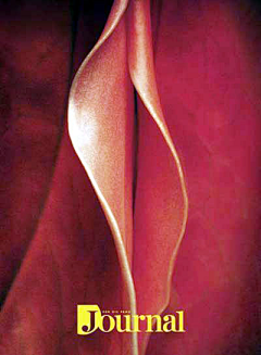 季冠廷采集到性