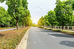 刘小二的2采集到道路植物