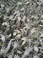 Wat Rong Khun