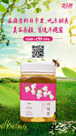 蜂蜜海报