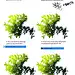 #绘画素材# 一些树的画法，包含配色纹理，转需~（图源网络）°莫那CG绘画学院近期课程汇总 ​​​​