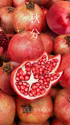 SHX-ing采集到节日闪屏（UI）