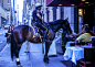 Horse of Times Square by Gerold Guggenbuehl on 500px