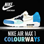 Nike Air Max 1 Colourways