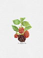 iPad水彩插画｜黑莓口味的酒标～