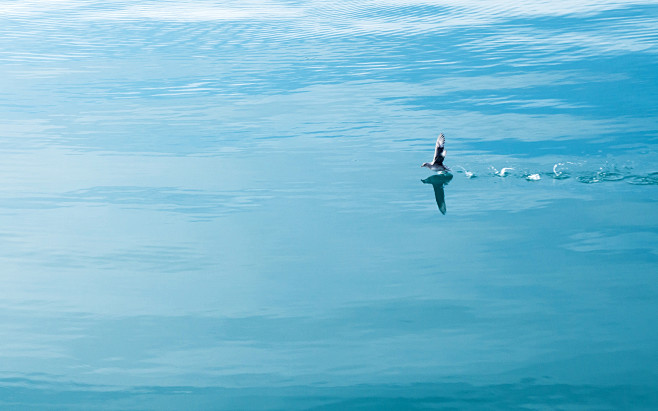 03682_runningonwater...