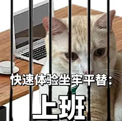 打工人精神状态表情包～（搬运）