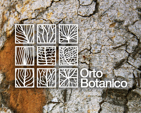 Orto Botanico 植物园导视